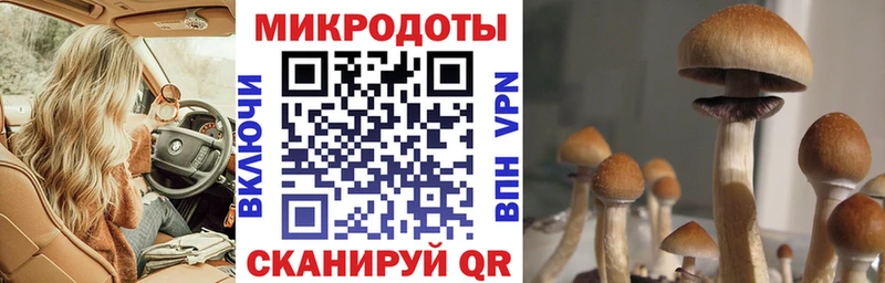Галлюциногенные грибы Magic Shrooms  Высоковск 